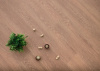 LVT Плитка Eco Click Wood 4.2/34 4V NOX-1614 Дуб Арагон 1212x185
