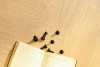 SPC Ламинат Bonkeel Pine 3.5/43 4V 302 600x125