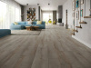 Ламинат Classen Harmony Forte WR 56613 Дуб Трудент 33 класс 8 мм