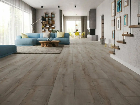Ламинат Classen Harmony Forte WR 56613 Дуб Трудент 33 класс 8 мм