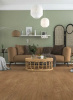 Ламинат Floorwood Phantom 6487 Дуб Брайс 34 класс 8 мм