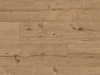 Ламинат Classen Choice WR 54976 Дуб Парма 33 класс 8 мм