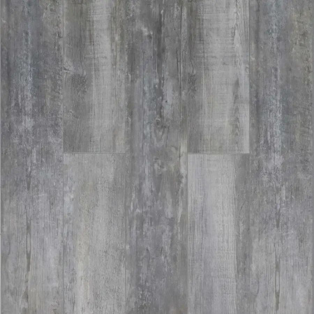 SPC Ламинат SOTTY Магнолия 3.85/31 4V 11127 Керн 1220x200.8