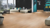 Ламинат Kronospan Сastello Classic 8/32 8723 Дуб Меринос 1285x192