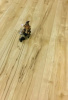 Ламинат Mostflooring High Glossy 11909 33 класс 12 мм